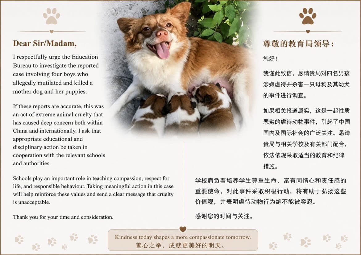 Please Help Us Get Answers for Jieyang's Stray Dogs